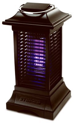 Bug Zapper Lantern Crdls