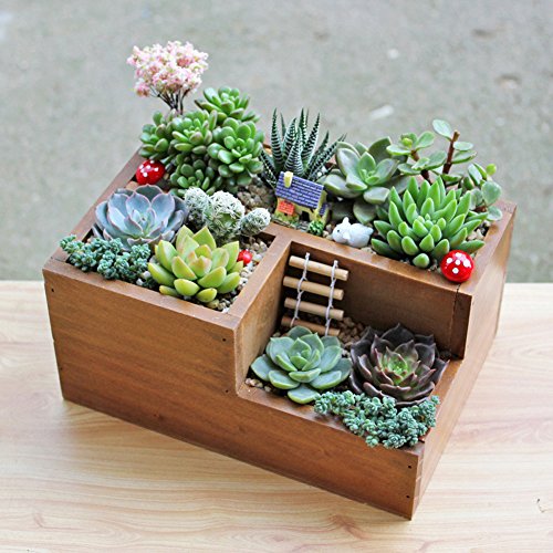 Easydeal Wooden Garden Window Box Trough Planter Succulent Flower Bed Pot (three Gird)