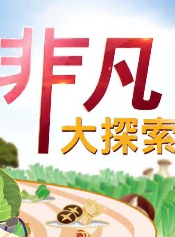 网约清纯可爱学生妹，身材纤细A4腰大长腿，后入超级爽 - 每日大赛