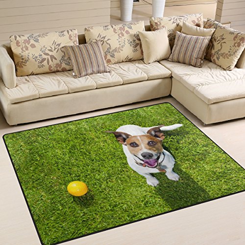 ALAZA Cute Pug Dog Ball on Green Grass Area Rug Rugs for Living Room Bedroom 53x4