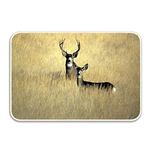 CustYANGLIU Mule Deer in Grass Area Rug Pad Non-Skid Kitchen Floor Mat for Living Room Bedroom 24x16 Doormats Home Decor Rubber Back