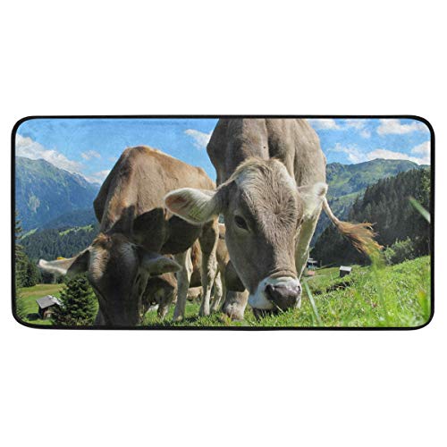 FANTAZIO Baby Cows Eat Grass Area Rug Carpet Non-Slip Floor Mat Doormats for Both Outdoor and Indoor 39 x 20 in