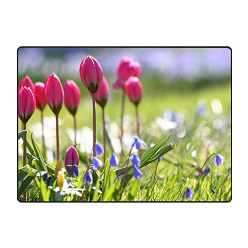 Tulips Bells Sharpness Grass Area Rug Rugs Non-Slip Indoor Outdoor Floor Mat Doormats for Home Decor 31x20