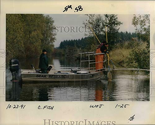 Historic Images - 1991 Press Photo Water Pollution Oregon - orb88643