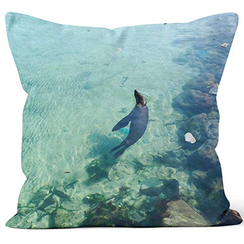 Nine City Seal Sea Lion Breathing Above The Dirty Harbour Water with Plastic Water Pollution Throw Pillow Cushion CoverHD Printing Decorative Square Accent Pillow Case36 W by 36 L