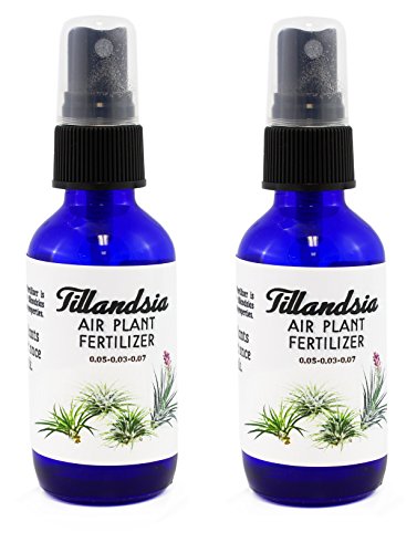 2 Tillandsia and Bromeliad Air Plant Fertilizer Includes Reusable Cobalt Glass Bottle Ready to Use Air Plant Food Specially Formulated for Air Plants 2