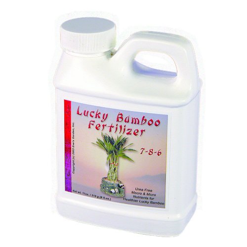 Eves Lucky Bamboo Fertilizer Exclusive Formula Keeps Lucky Bamboo Dark Green and Healthy Can be used on Hydroponic plants too