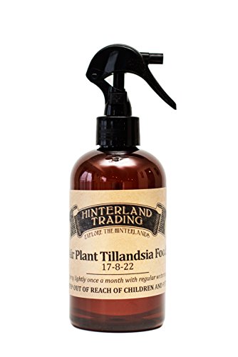 Hinterland Trading Air Plant Tillandsia Food and Fertilizer 8-Ounce