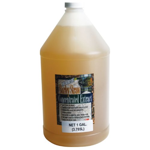 Ecological Labs Ael20120 Microbe Lift Barley Straw Extract Pond Conditioners For Aquarium 1-gallon