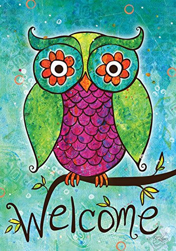 Toland - Rainbow Owl - Decorative Welcome Colorful Mulitcolor Bright Cute Usa-produced House Flag