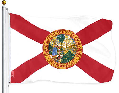 G128  Florida Flag 3x5 ft Printed Flag 2 Brass Grommets Quality Polyester Flag IndoorOutdoor