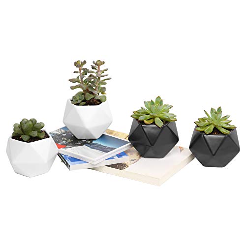 Plant Pot Rosoli 4pcs Ceramics Indoor Planter Garden Pots for Succulents African Violets Cactus Herbs  35 Inch Flower Pots with Drainage Hole and Waterproof Tray (4 Black and White)