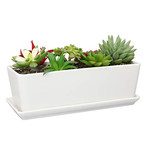 SQOWL 10 inch Rectangular White Ceramic Succulent Planter Pot Modern Flower Cactus Herb Big Planter with Removable Saucer Indoor or Outdoor