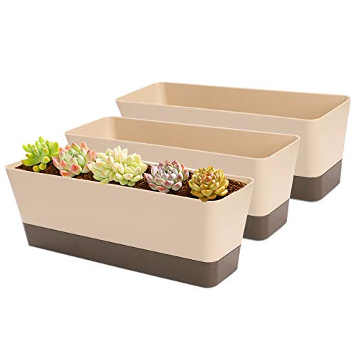 Window Box Planter 3 Pack Premium Plastic Rectangular Planter Flower Plant Pot with Tray for Windowsill Garden Balcony Kitchens Home Office Outdoor Indoor Decoration