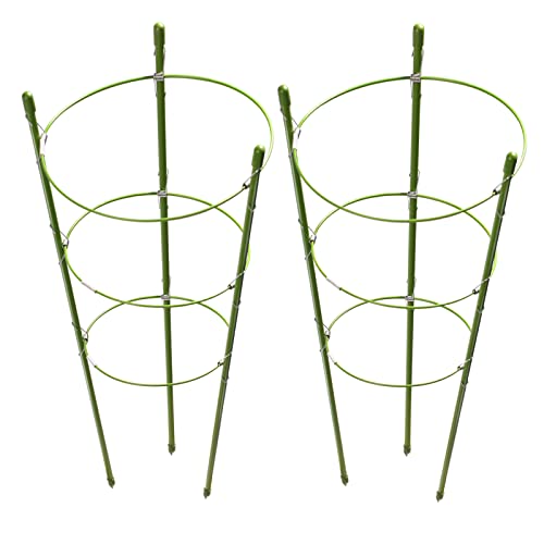 LEOBRO 2 Pack Plant Support Cage Rust Resistant Garden Plant Support Ring Plant Stake Plant Support for Tomato Trellis Climbing Plant Flower 177 High 548618689 Inner Diameter